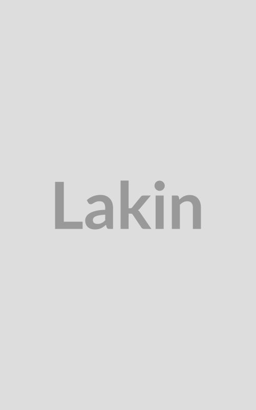 lakin 2025