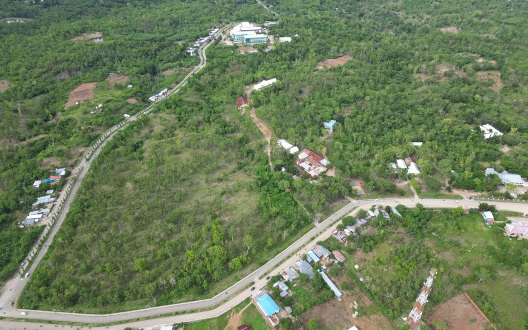 Pengumuman Penetapan Daya Tampung Awal Penerimaan Mahasiswa Baru Program Sarjana Strata Satu (S1) dan Diploma Tiga (D3) Jalur Seleksi Nasional Berdasarkan Prestasi (SNBP), Seleksi Nasional Berdasarkan Tes (SNBT) dan Seleksi Mandiri Universitas Timor Tahun Akademik 2026/2027