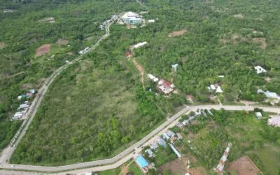 Pengumuman Penetapan Daya Tampung Awal Penerimaan Mahasiswa Baru Program Sarjana Strata Satu (S1) dan Diploma Tiga (D3) Jalur Seleksi Nasional Berdasarkan Prestasi (SNBP), Seleksi Nasional Berdasarkan Tes (SNBT) dan Seleksi Mandiri Universitas Timor Tahun Akademik 2026/2027